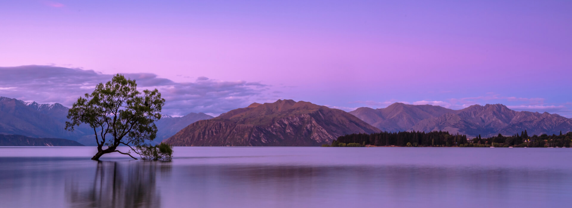 Autonomous Mind Protocol™